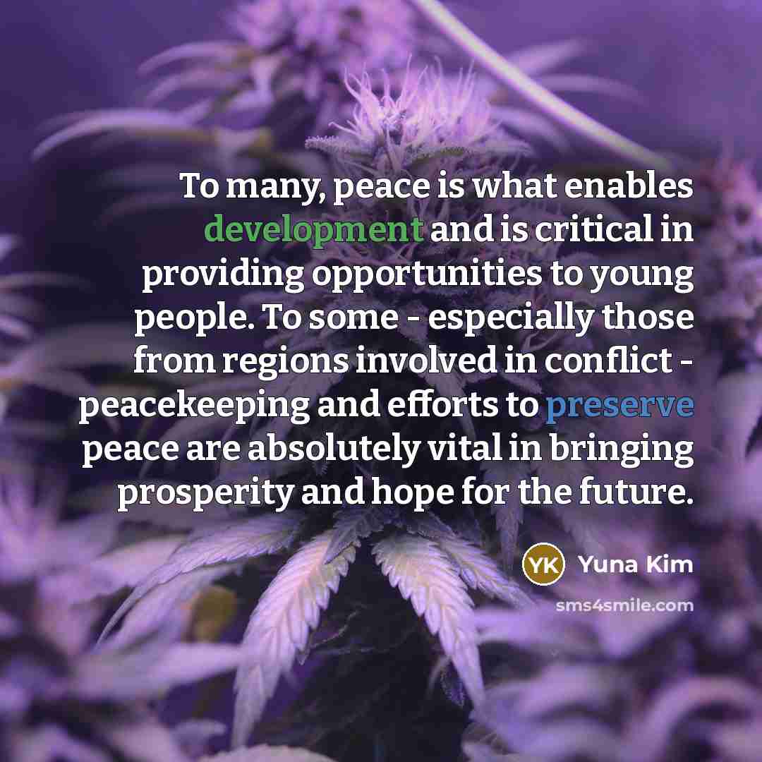 “To many, peace is what enables development and is critical in providing opportunities to young people. To some - especially those from regions involved in conflict - peacekeeping and efforts to preserve peace are absolutely vital in bringing prosperity and hope for the future.” quote by Yuna Kim