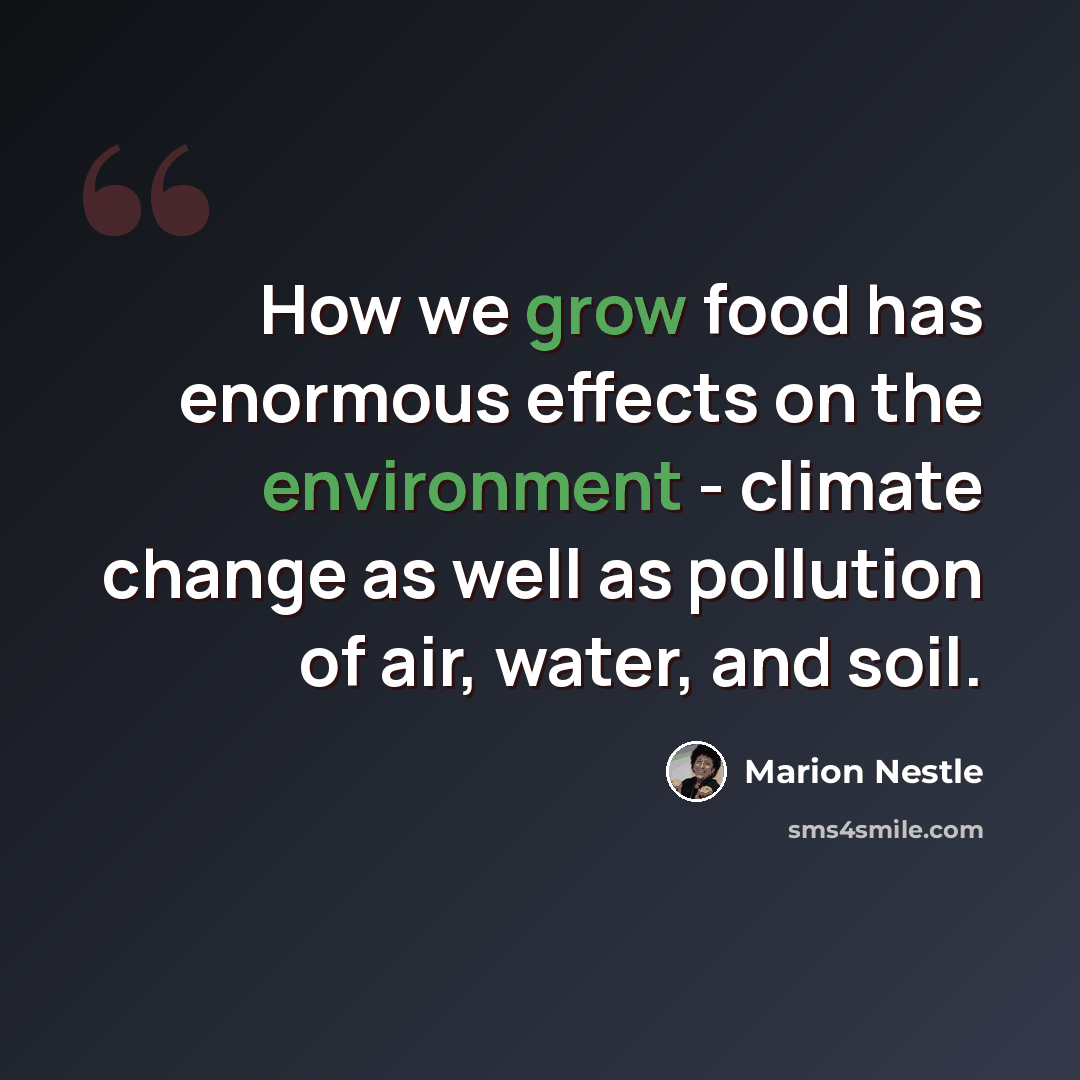 “How we grow food has enormous effects on the environment - climate change as well as pollution of air, water, and soil.” quote by Marion Nestle