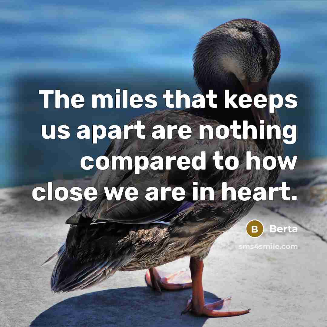 “The miles that keeps us apart are nothing compared to how close we are in heart.” quote by Berta