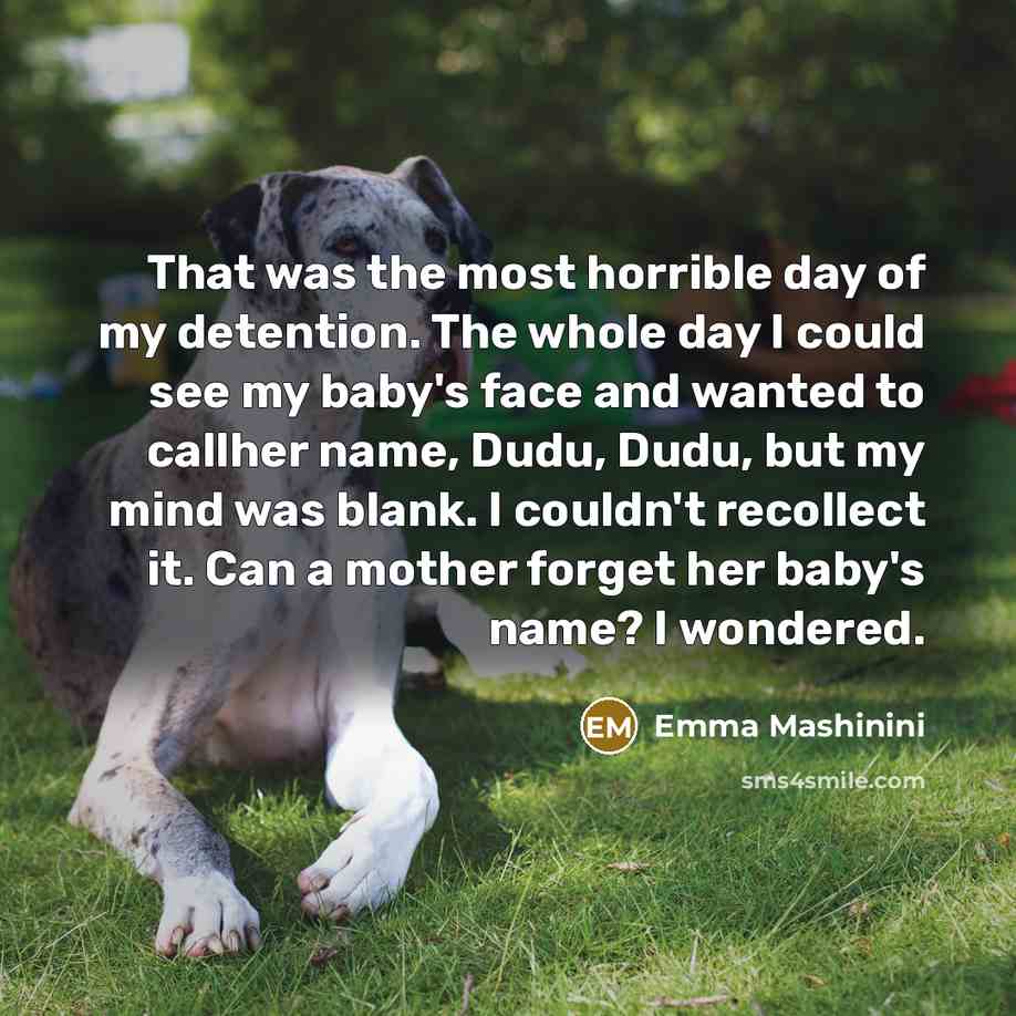 “That was the most horrible day of my detention. The whole day I could see my baby's face and wanted to callher name, Dudu, Dudu, but my mind was blank. I couldn't recollect it. Can a mother forget her baby's name? I wondered.” quote by Emma Mashinini