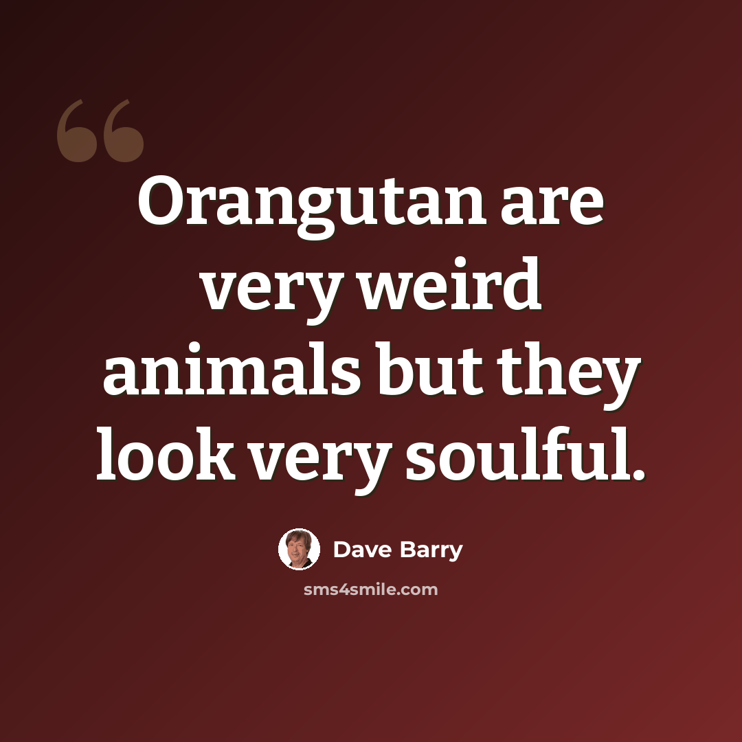 “Orangutan are very weird animals but they look very soulful.” quote by Dave Barry