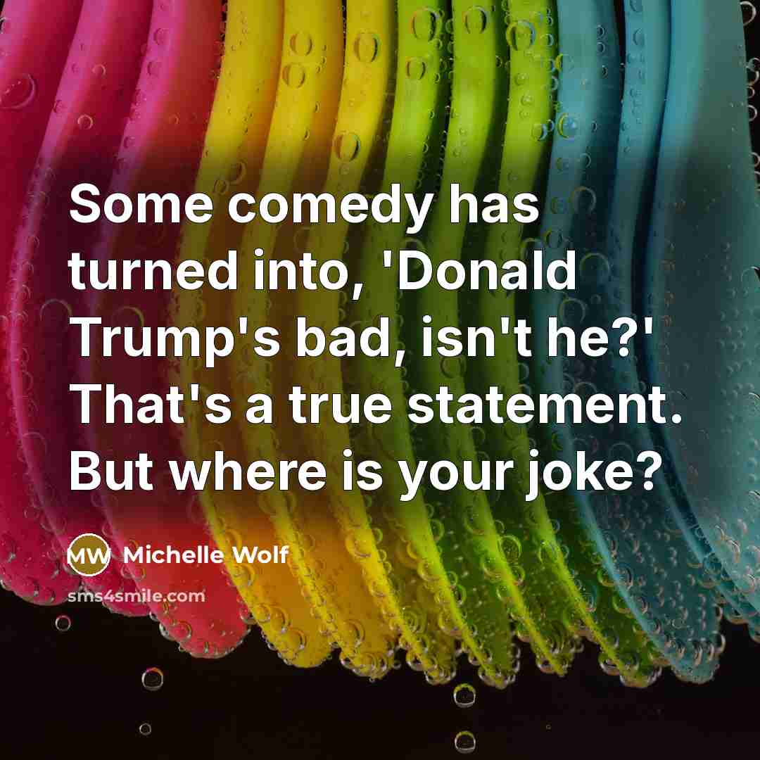 “Some comedy has turned into, 'Donald Trump's bad, isn't he?' That's a true statement. But where is your joke?” quote by Michelle Wolf