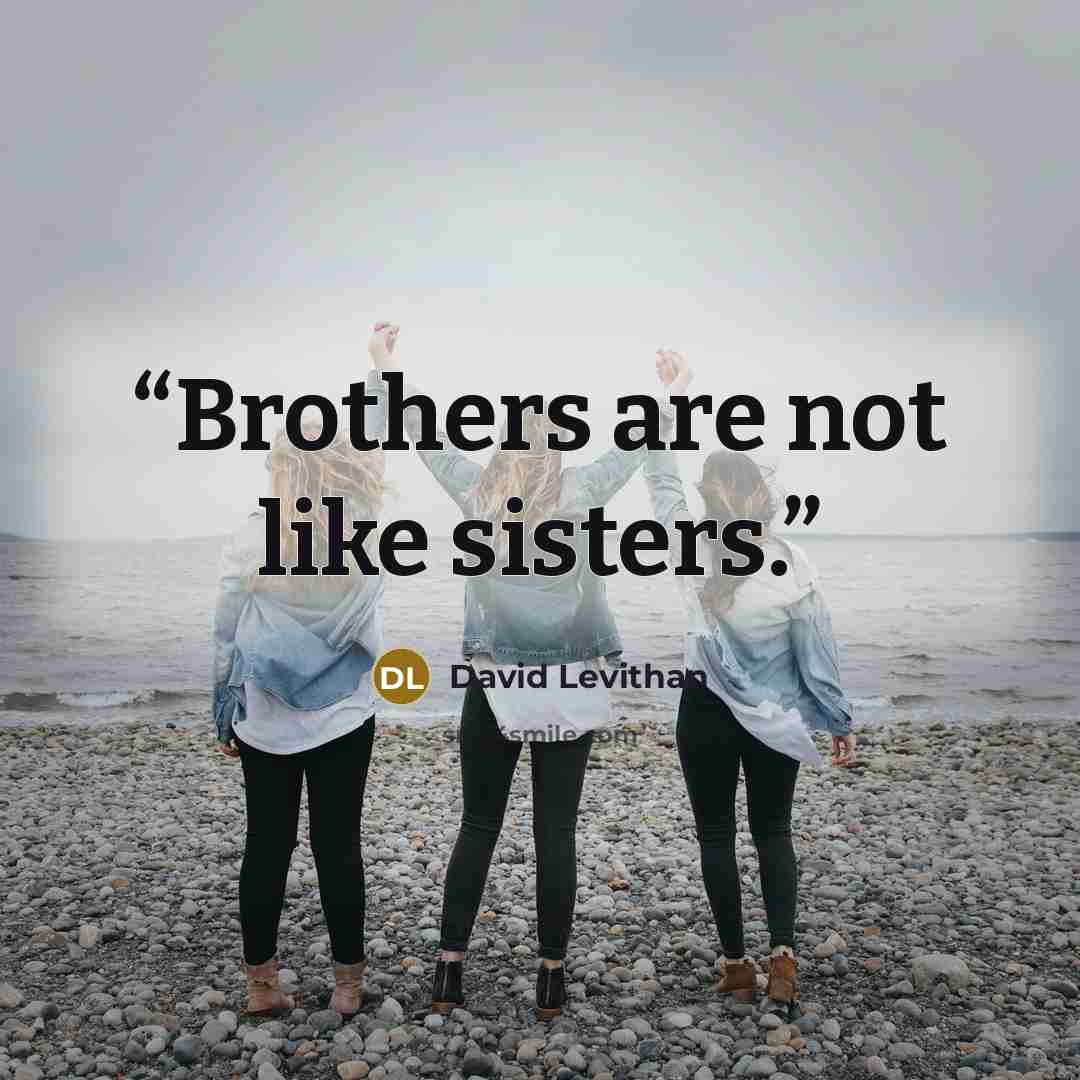 “Brothers are not like sisters.” quote by David Levithan