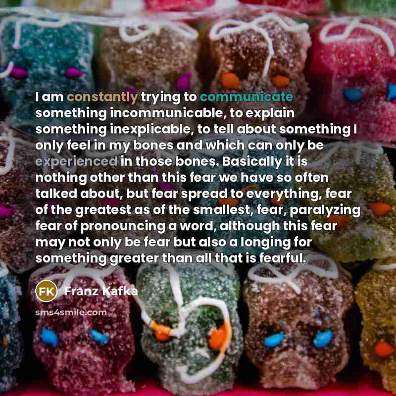 “I am constantly trying to communicate something incommunicable, to explain something inexplicable, to tell about something I only feel in my bones and which can only be experienced in those bones. Basically it is nothing other than this fear we have so often talked about, but fear spread to…” quote by Franz Kafka
