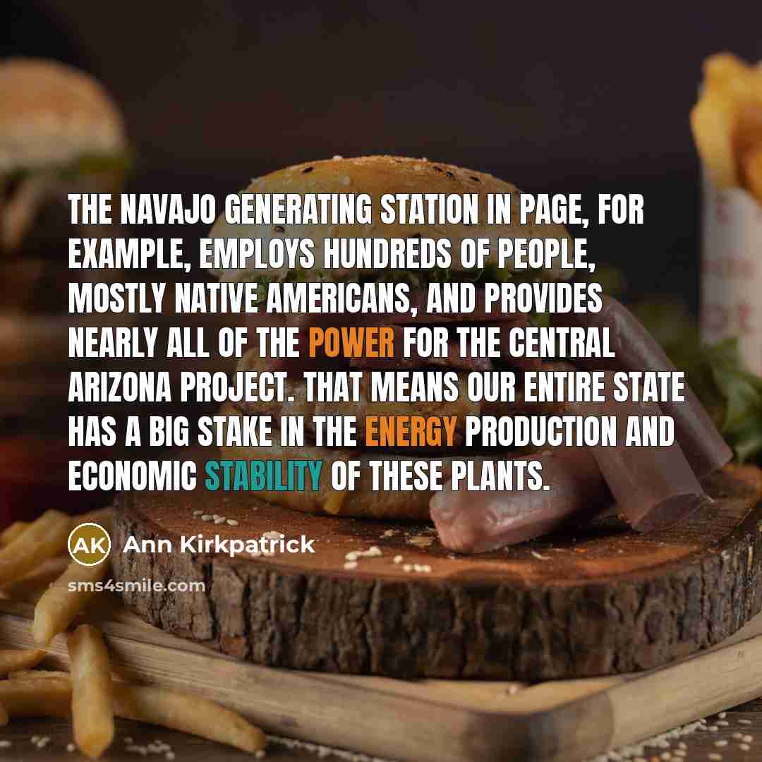“The Navajo Generating Station in Page, for example, employs hundreds of people, mostly Native Americans, and provides nearly all of the power for the Central Arizona Project. That means our entire state has a big stake in the energy production and economic stability of these plants.” quote by Ann Kirkpatrick