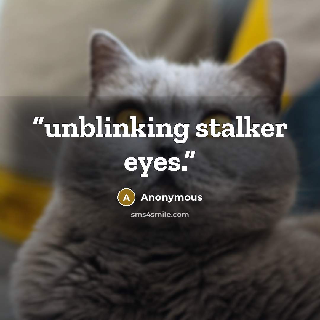 “unblinking stalker eyes.” quote by Anonymous