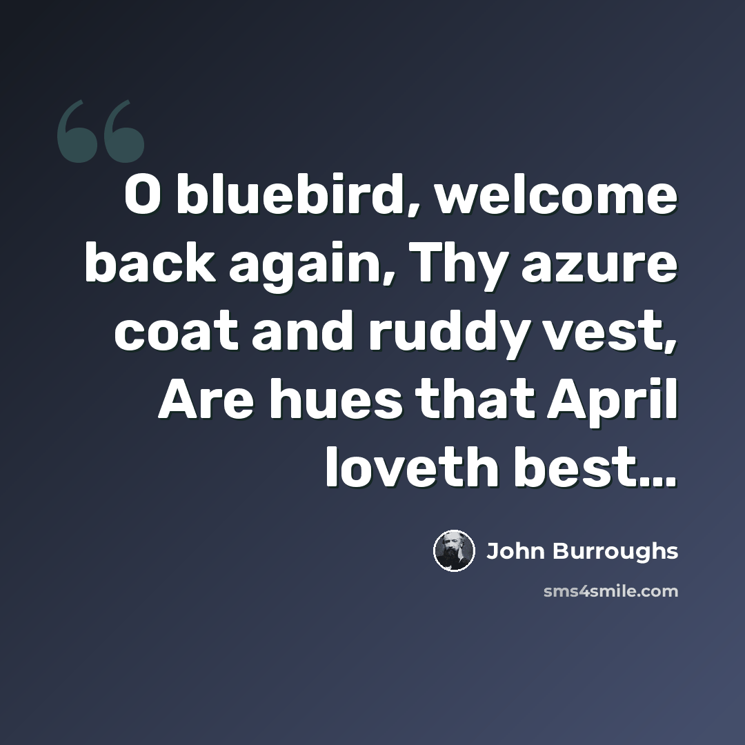“O bluebird, welcome back again, Thy azure coat and ruddy vest, Are hues that April loveth best…” quote by John Burroughs