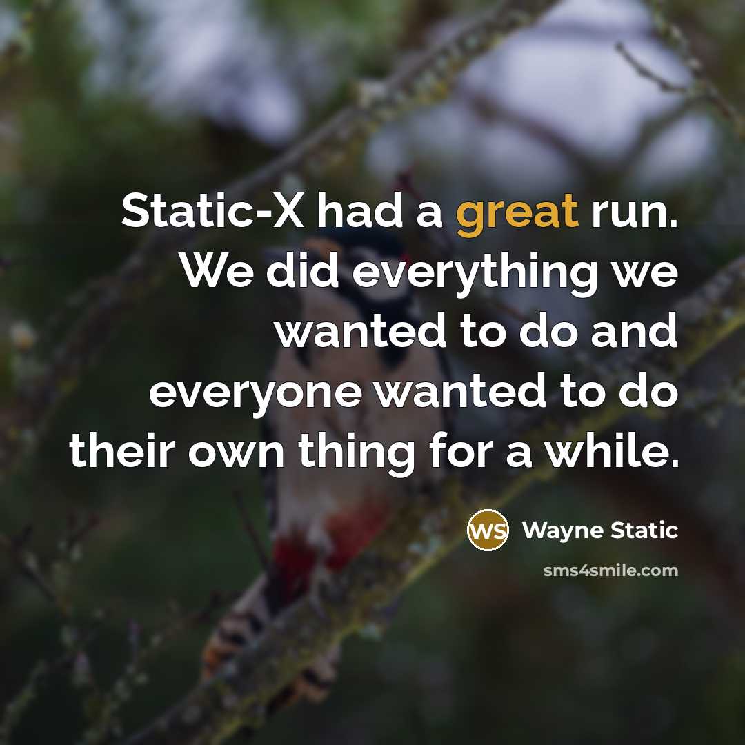 “Static-X had a great run. We did everything we wanted to do and everyone wanted to do their own thing for a while.” quote by Wayne Static