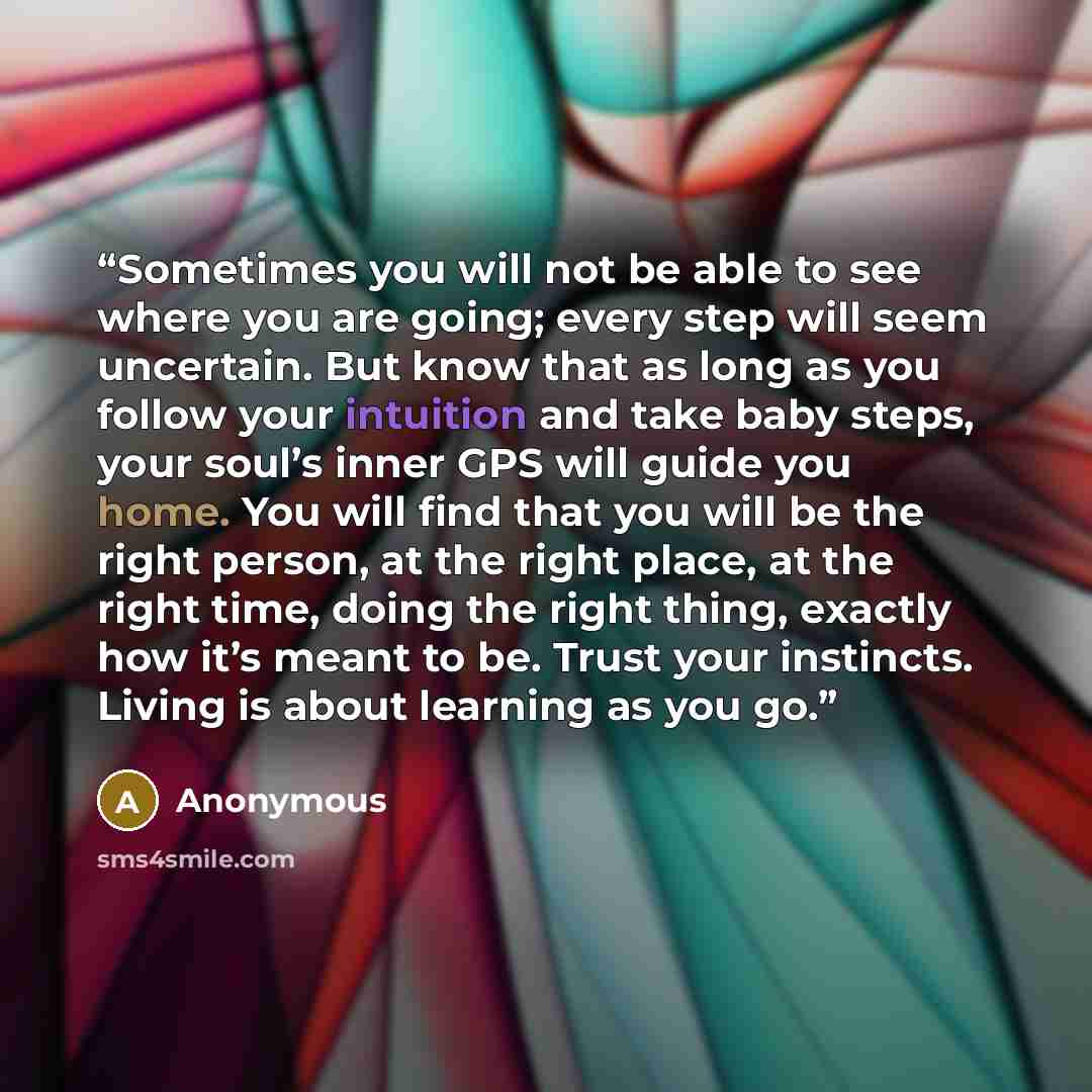 “Sometimes you will not be able to see where you are going; every step will seem uncertain. But know that as long as you follow your intuition and take baby steps, your soul’s inner GPS will guide you home. You will find that you will be the right person, at the right place, at the right time…” quote by Anonymous