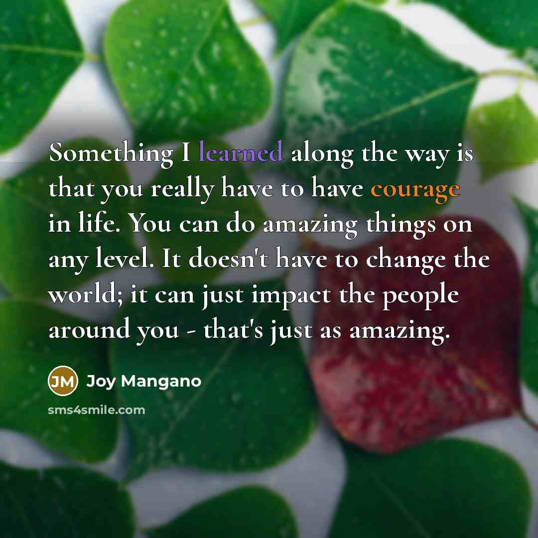 “Something I learned along the way is that you really have to have courage in life. You can do amazing things on any level. It doesn't have to change the world; it can just impact the people around you - that's just as amazing.” quote by Joy Mangano