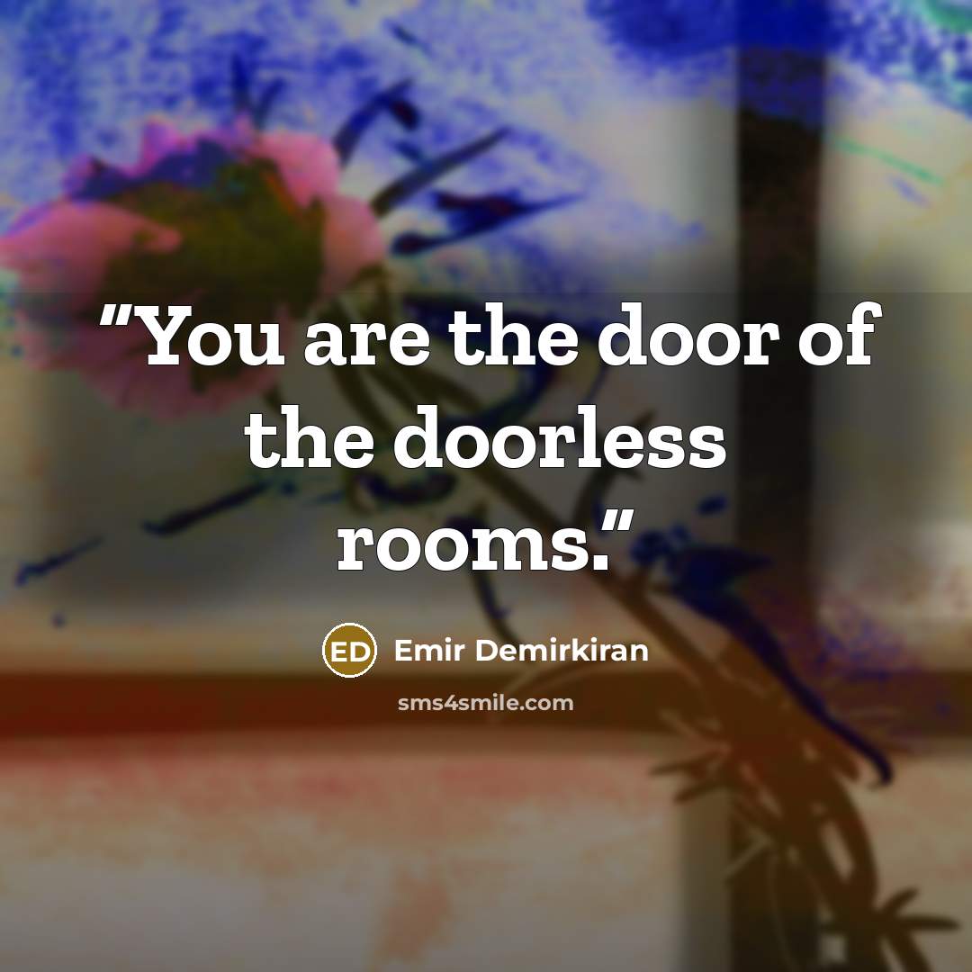 “You are the door of the doorless rooms.” quote by Emir Demirkiran