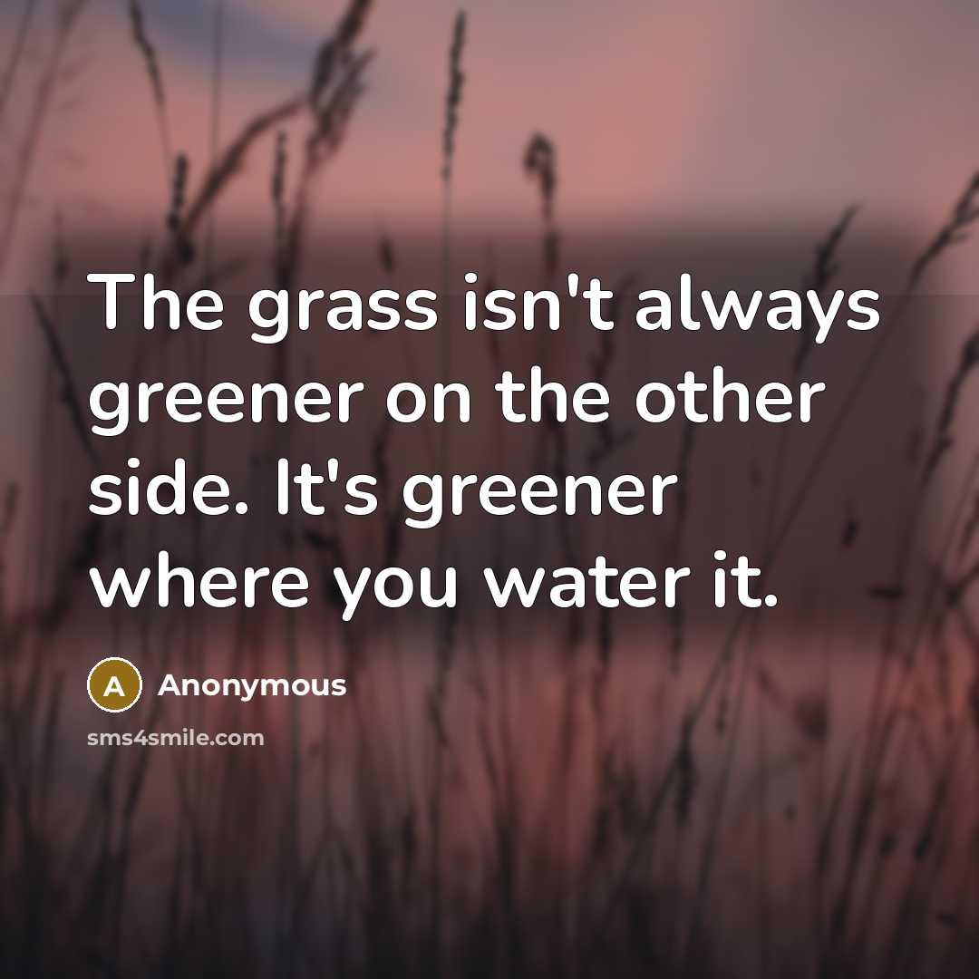 “The grass isn't always greener on the other side. It's greener where you water it.” quote by Anonymous