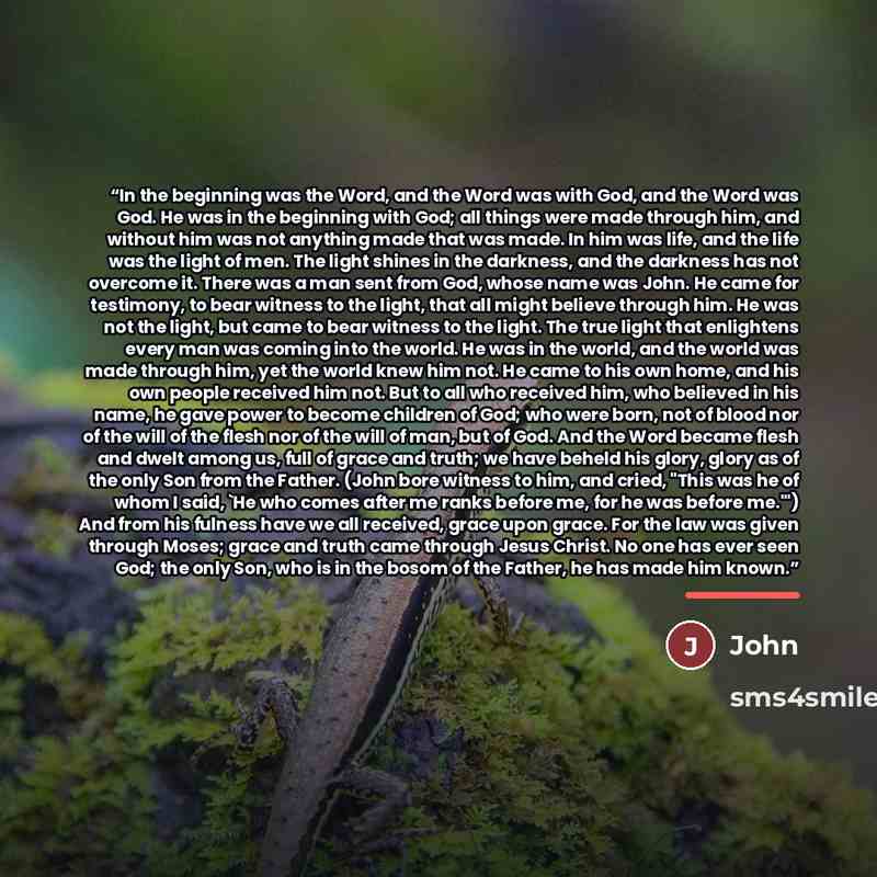 “In the beginning was the Word, and the Word was with God, and the Word was God. He was in the beginning with God; all things were made through him, and without him was not anything made that was made. In him was life, and the life was the light of men. The light shines in the darkness, and the…” quote by John