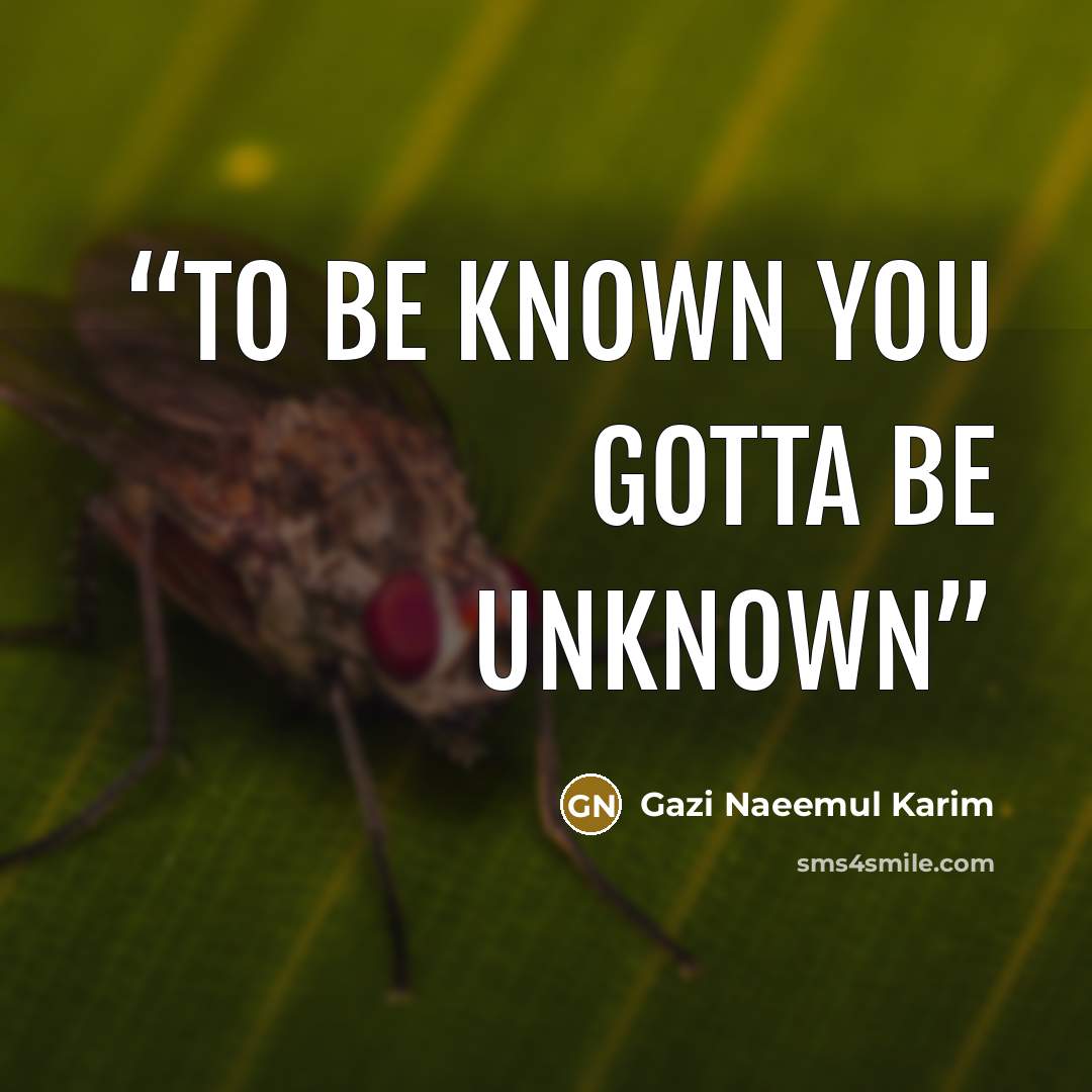 “To Be Known You gotta be Unknown” quote by Gazi Naeemul Karim