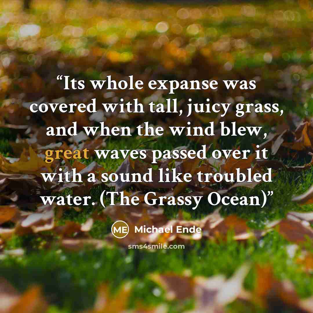 “Its whole expanse was covered with tall, juicy grass, and when the wind blew, great waves passed over it with a sound like troubled water. (The Grassy Ocean)” quote by Michael Ende