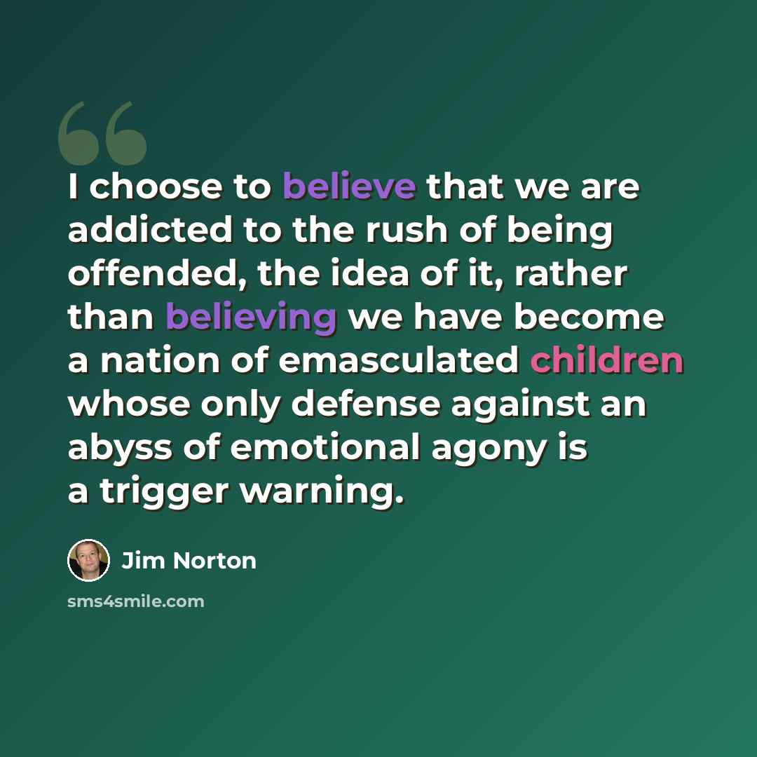 “I choose to believe that we are addicted to the rush of being offended, the idea of it, rather than believing we have become a nation of emasculated children whose only defense against an abyss of emotional agony is a trigger warning.” quote by Jim Norton