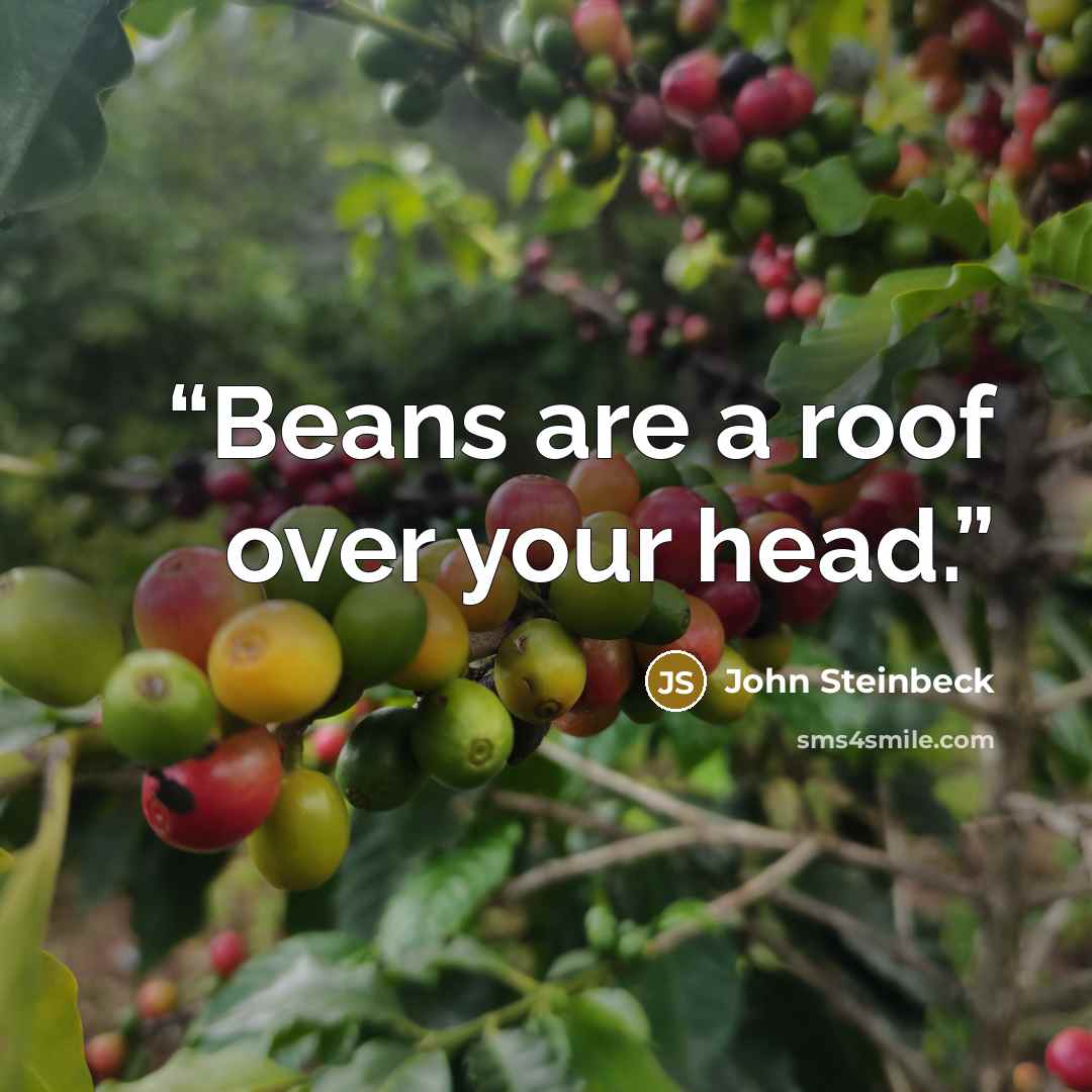 “Beans are a roof over your head.” quote by John Steinbeck