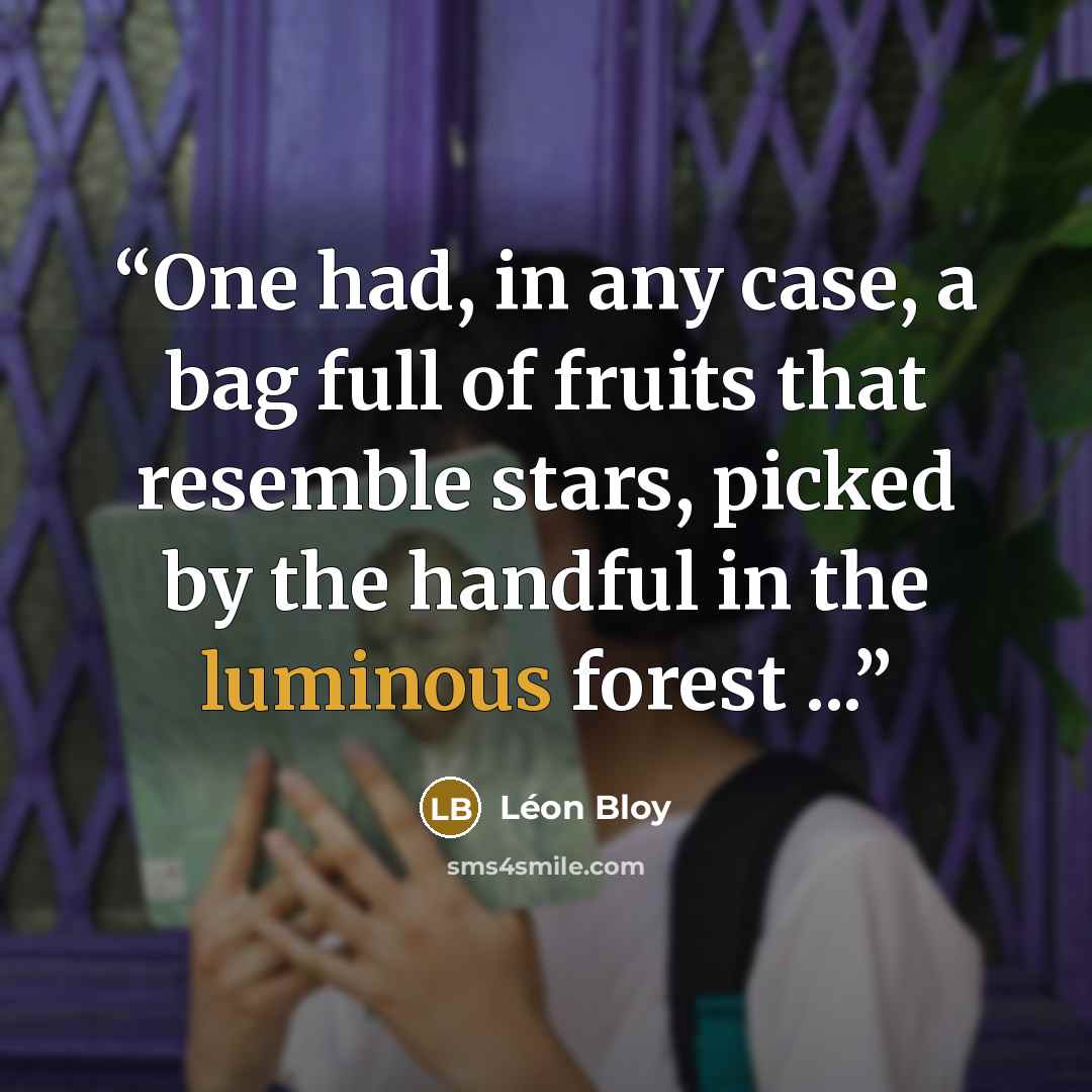 “One had, in any case, a bag full of fruits that resemble stars, picked by the handful in the luminous forest ...” quote by Léon Bloy