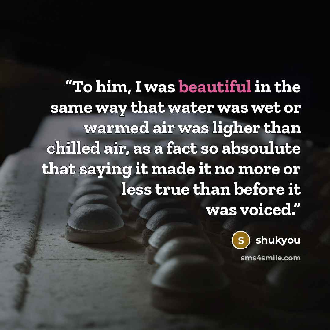 “To him, I was beautiful in the same way that water was wet or warmed air was ligher than chilled air, as a fact so absoulute that saying it made it no more or less true than before it was voiced.” quote by shukyou