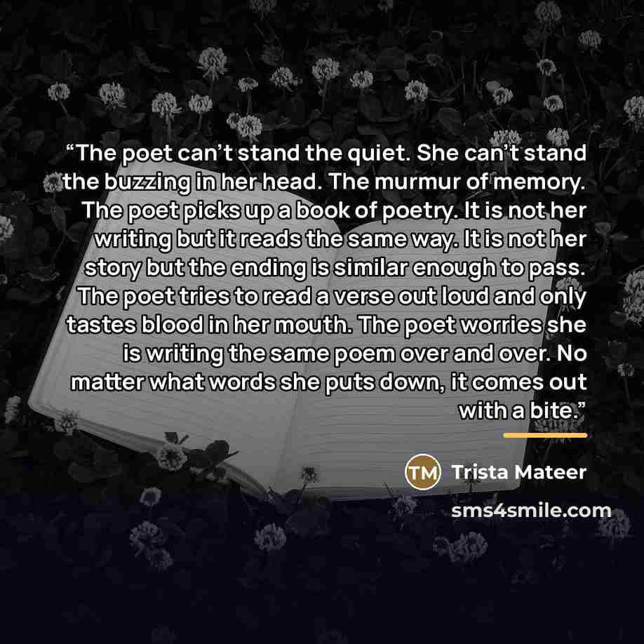 “The poet can’t stand the quiet. She can’t stand the buzzing in her head. The murmur of memory. The poet picks up a book of poetry. It is not her writing but it reads the same way. It is not her story but the ending is similar enough to pass. The poet tries to read a verse out loud and only tastes…” quote by Trista Mateer