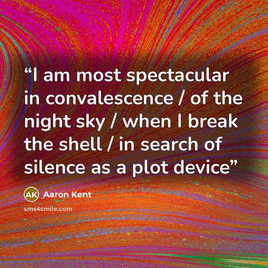 “I am most spectacular in convalescence / of the night sky / when I break the shell / in search of silence as a plot device” quote by Aaron Kent