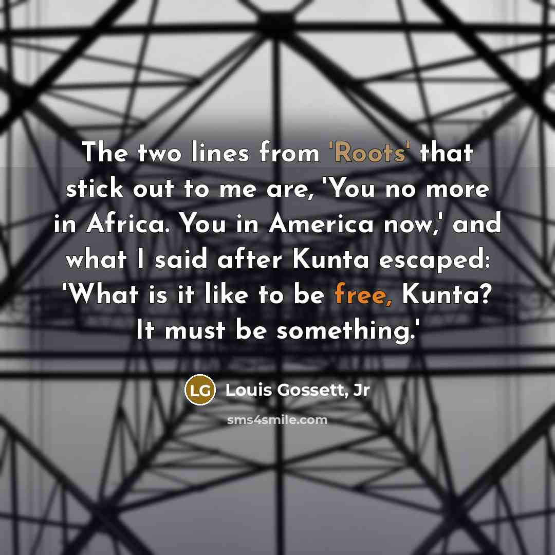 “The two lines from 'Roots' that stick out to me are, 'You no more in Africa. You in America now,' and what I said after Kunta escaped: 'What is it like to be free, Kunta? It must be something.'” quote by Louis Gossett, Jr