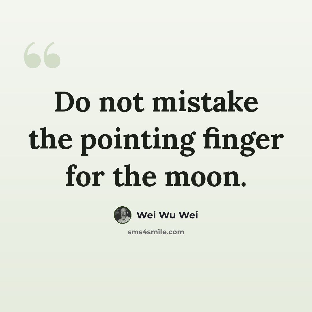 “Do not mistake the pointing finger for the moon.” quote by Wei Wu Wei