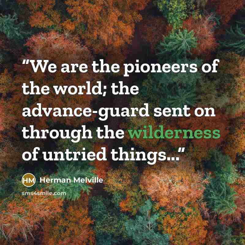 “We are the pioneers of the world; the advance-guard sent on through the wilderness of untried things...” quote by Herman Melville