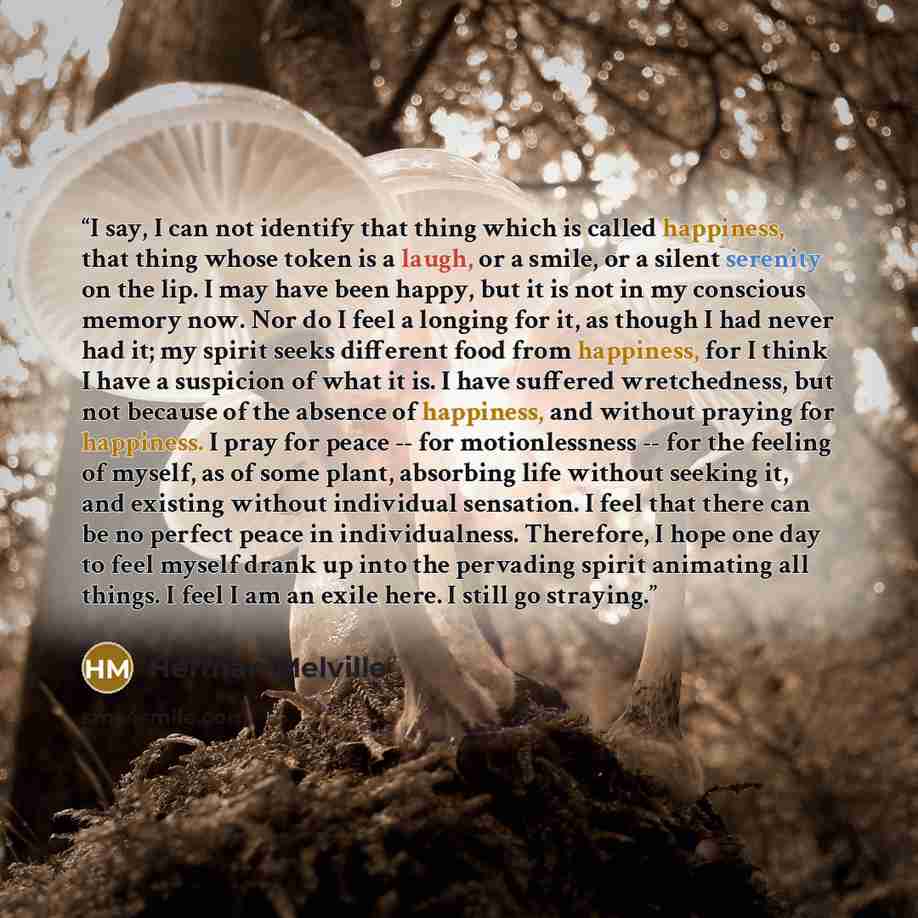 “I say, I can not identify that thing which is called happiness, that thing whose token is a laugh, or a smile, or a silent serenity on the lip. I may have been happy, but it is not in my conscious memory now. Nor do I feel a longing for it, as though I had never had it; my spirit seeks different…” quote by Herman Melville