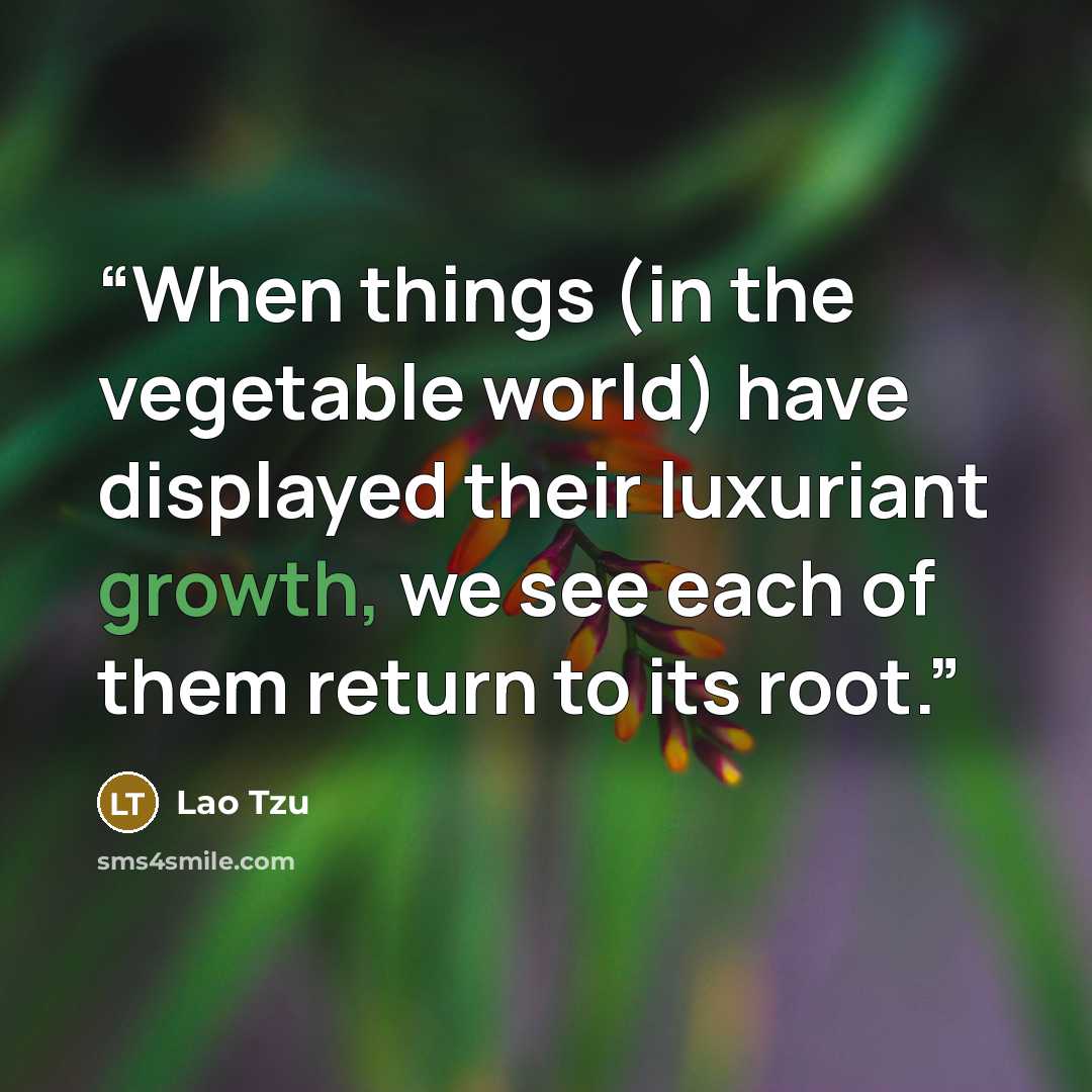 “When things (in the vegetable world) have displayed their luxuriant growth, we see each of them return to its root.” quote by Lao Tzu