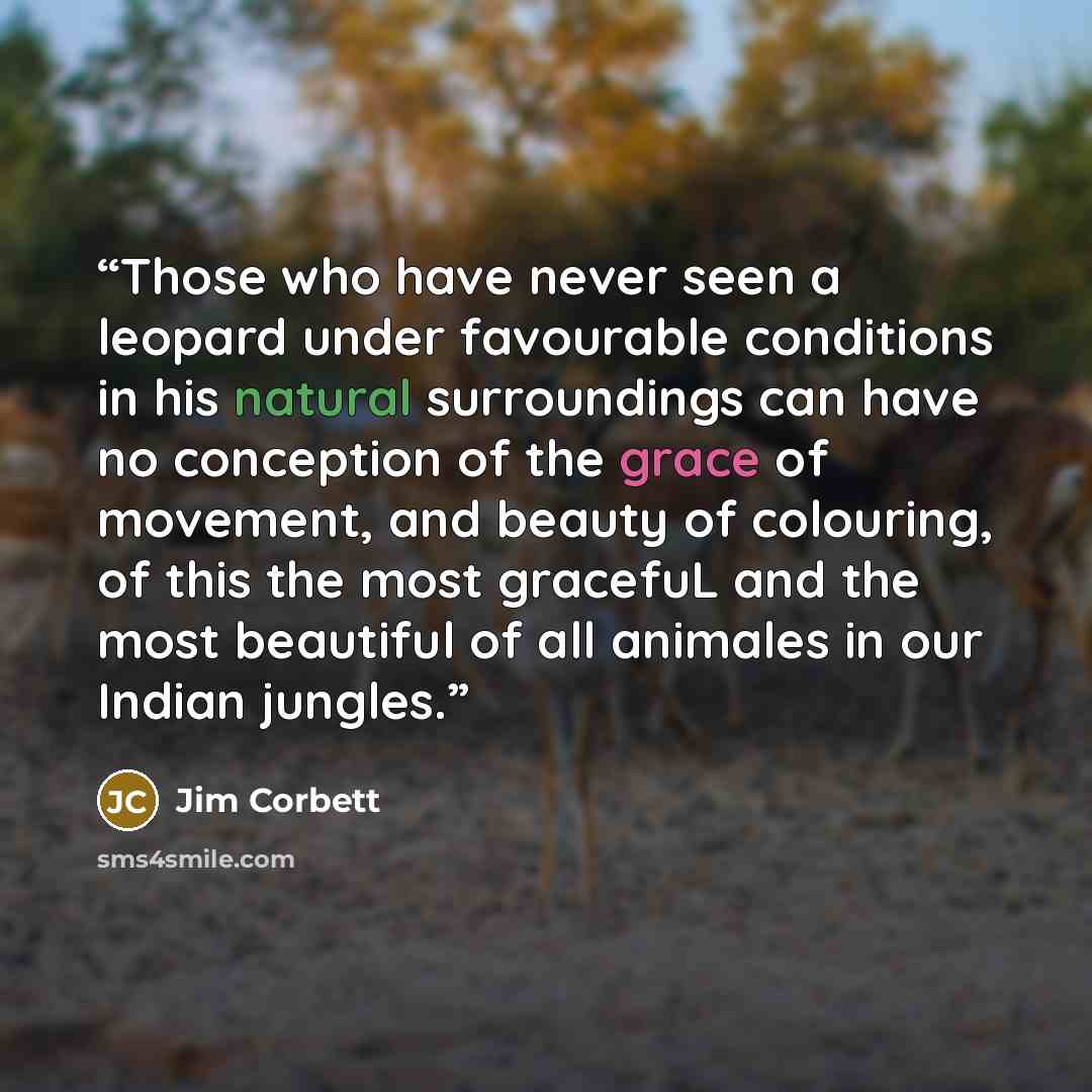 “Those who have never seen a leopard under favourable conditions in his natural surroundings can have no conception of the grace of movement, and beauty of colouring, of this the most gracefuL and the most beautiful of all animales in our Indian jungles.” quote by Jim Corbett