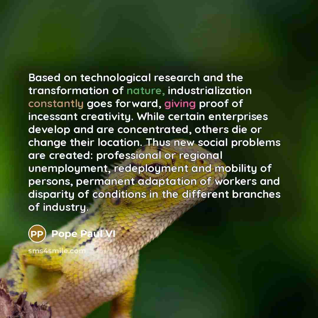 “Based on technological research and the transformation of nature, industrialization constantly goes forward, giving proof of incessant creativity. While certain enterprises develop and are concentrated, others die or change their location. Thus new social problems are created: professional or…” quote by Pope Paul VI