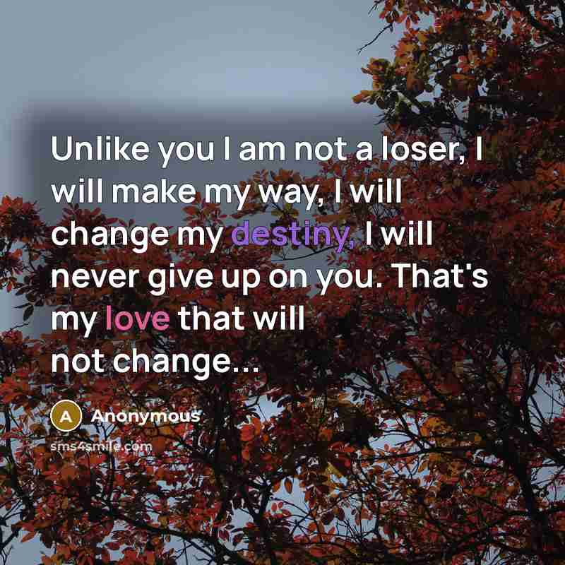 “Unlike you I am not a loser, I will make my way, I will change my destiny, I will never give up on you. That's my love that will not change...” quote by Anonymous