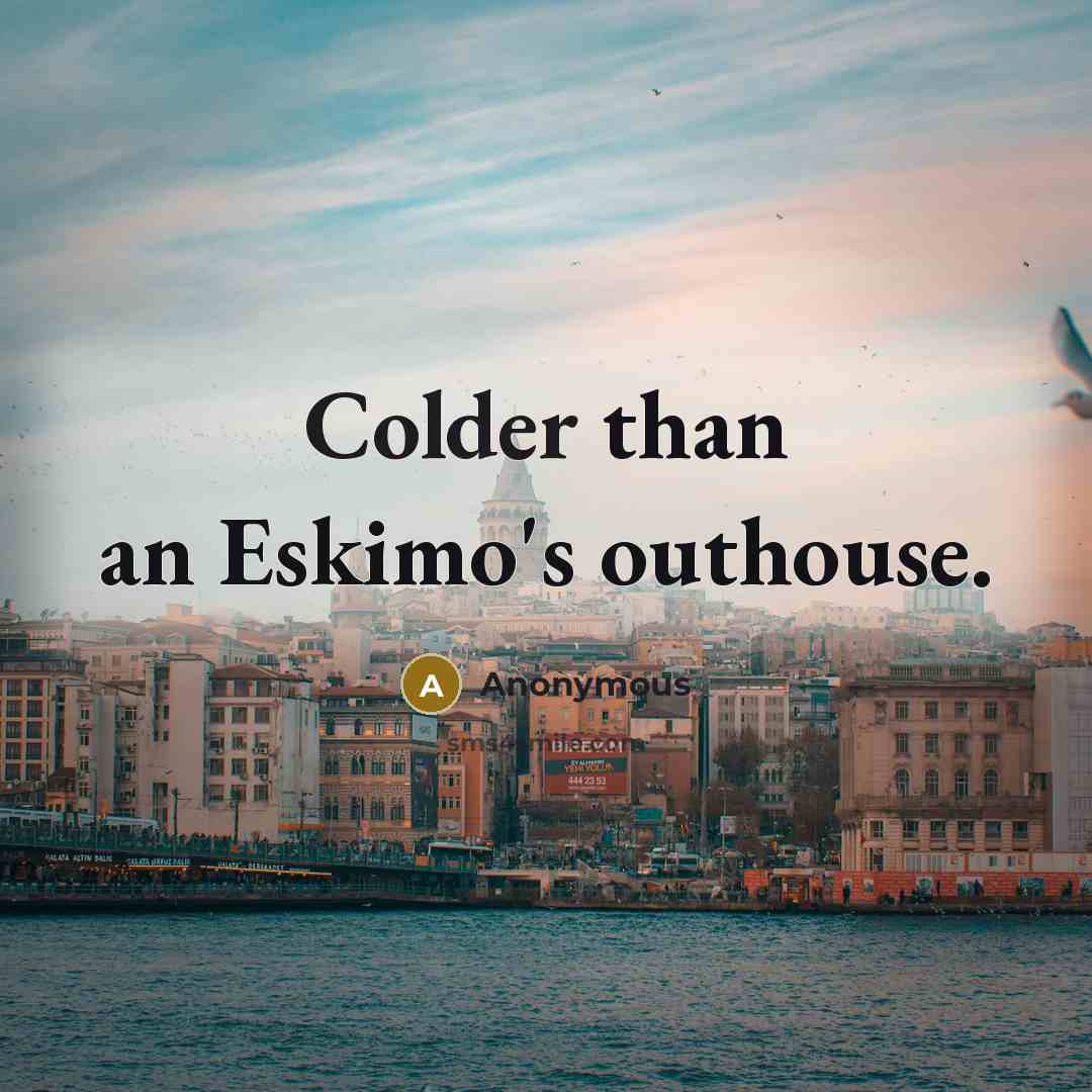 “Colder than an Eskimo's outhouse.” quote by Anonymous