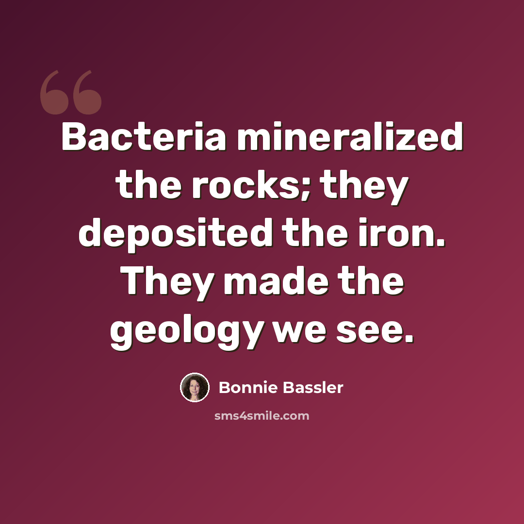“Bacteria mineralized the rocks; they deposited the iron. They made the geology we see.” quote by Bonnie Bassler