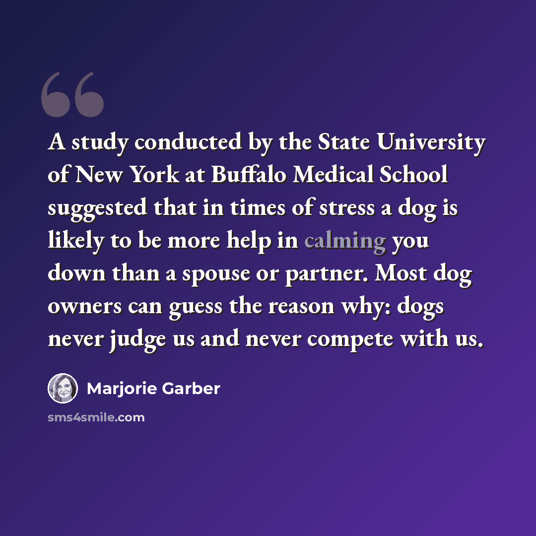 “A study conducted by the State University of New York at Buffalo Medical School suggested that in times of stress a dog is likely to be more help in calming you down than a spouse or partner. Most dog owners can guess the reason why: dogs never judge us and never compete with us.” quote by Marjorie Garber