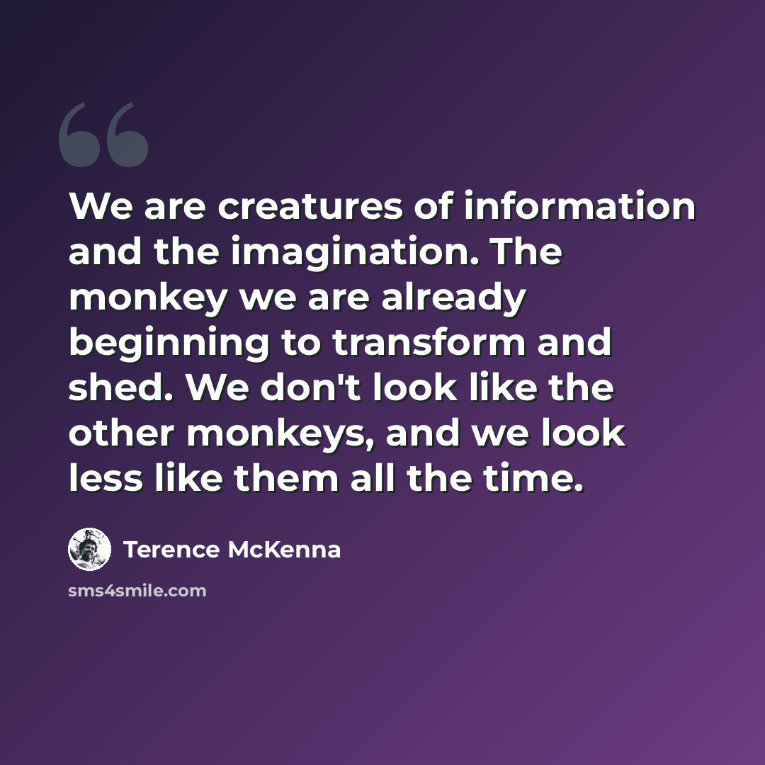 “We are creatures of information and the imagination. The monkey we are already beginning to transform and shed. We don't look like the other monkeys, and we look less like them all the time.” quote by Terence McKenna
