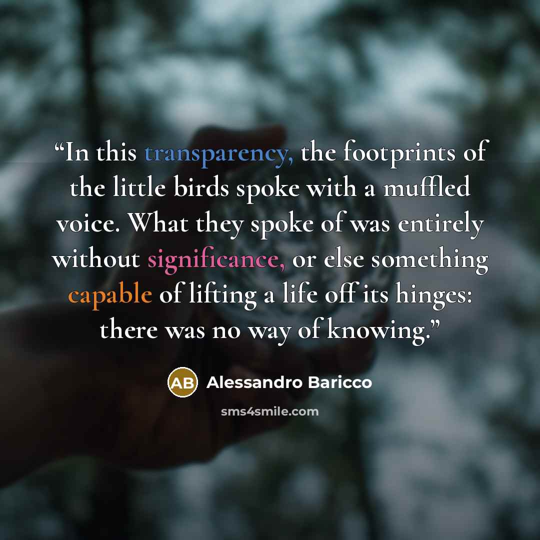 “In this transparency, the footprints of the little birds spoke with a muffled voice. What they spoke of was entirely without significance, or else something capable of lifting a life off its hinges: there was no way of knowing.” quote by Alessandro Baricco