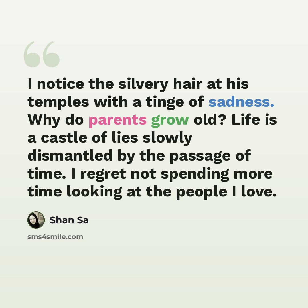 “I notice the silvery hair at his temples with a tinge of sadness. Why do parents grow old? Life is a castle of lies slowly dismantled by the passage of time. I regret not spending more time looking at the people I love.” quote by Shan Sa