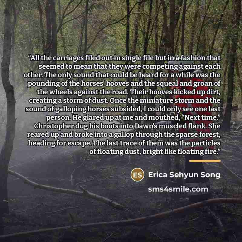 “All the carriages filed out in single file but in a fashion that seemed to mean that they were competing against each other. The only sound that could be heard for a while was the pounding of the horses’ hooves and the squeal and groan of the wheels against the road. Their hooves kicked up dirt…” quote by Erica Sehyun Song