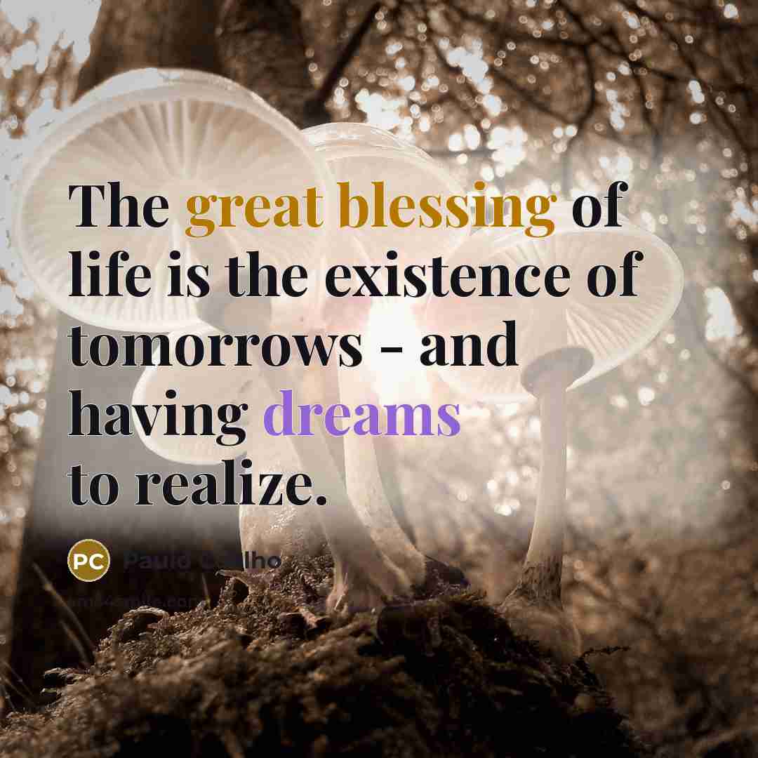 “The great blessing of life is the existence of tomorrows - and having dreams to realize.” quote by Paulo Coelho