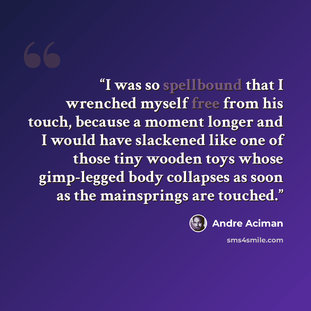“I was so spellbound that I wrenched myself free from his touch, because a moment longer and I would have slackened like one of those tiny wooden toys whose gimp-legged body collapses as soon as the mainsprings are touched.” quote by André Aciman