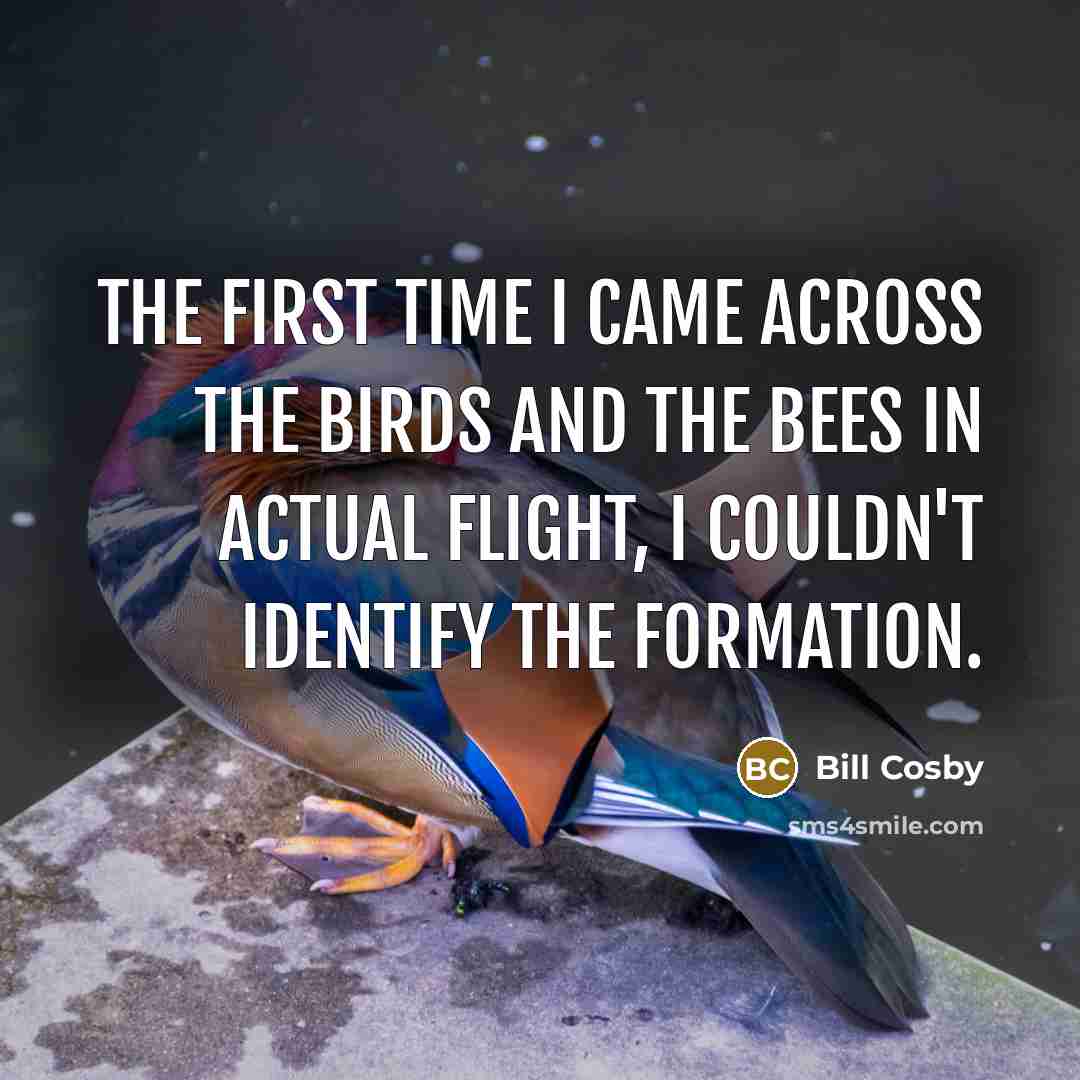 “The first time I came across the birds and the bees in actual flight, I couldn't identify the formation.” quote by Bill Cosby