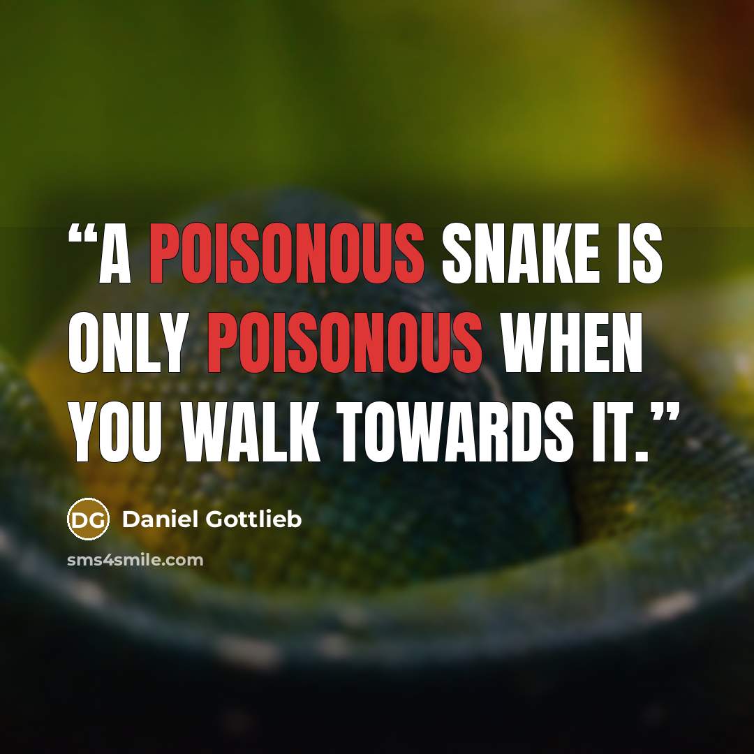 “A poisonous snake is only poisonous when you walk towards it.” quote by Daniel Gottlieb