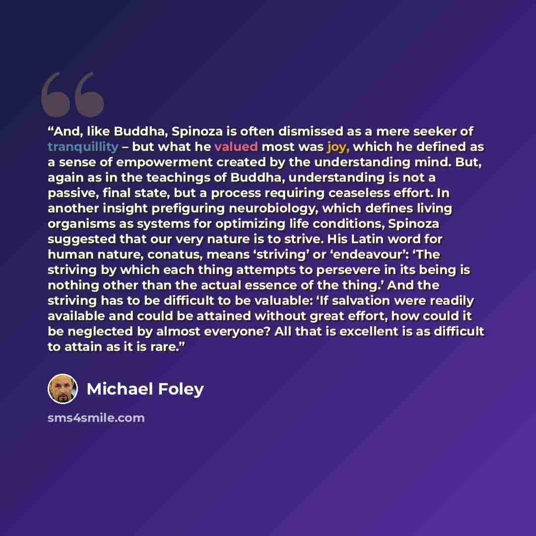 “And, like Buddha, Spinoza is often dismissed as a mere seeker of tranquillity – but what he valued most was joy, which he defined as a sense of empowerment created by the understanding mind. But, again as in the teachings of Buddha, understanding is not a passive, final state, but a process…” quote by Michael Foley