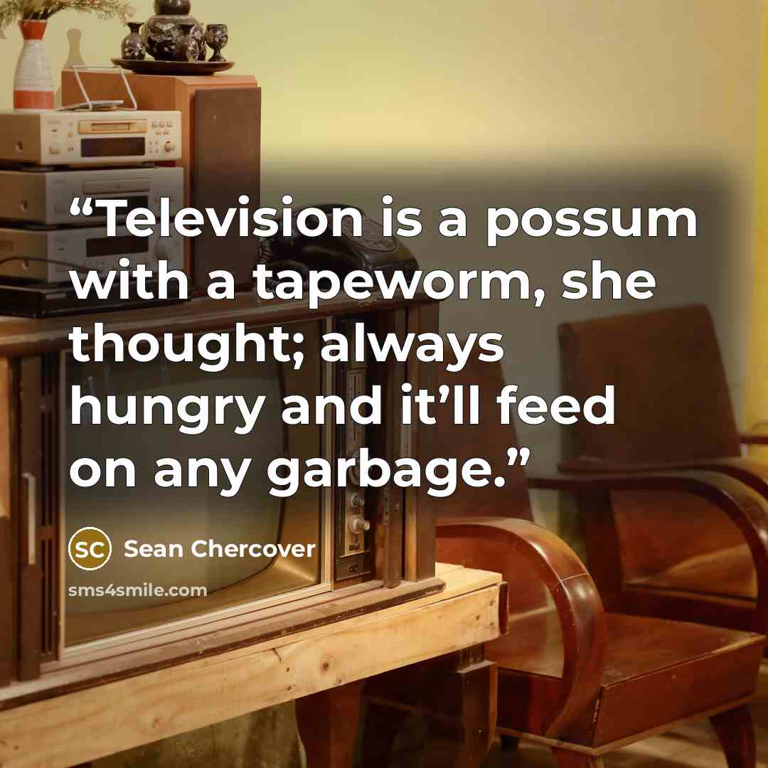 “Television is a possum with a tapeworm, she thought; always hungry and it’ll feed on any garbage.” quote by Sean Chercover