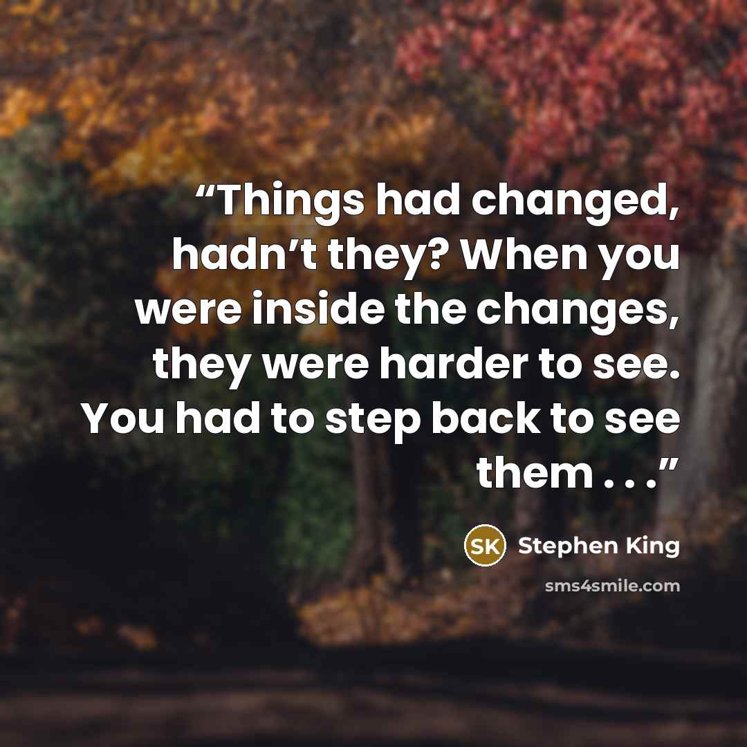 “Things had changed, hadn’t they? When you were inside the changes, they were harder to see. You had to step back to see them . . .” quote by Stephen King