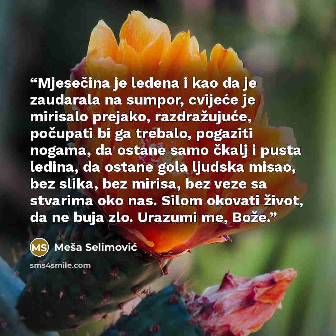 “Mjesečina je ledena i kao da je zaudarala na sumpor, cvijeće je mirisalo prejako, razdražujuće, počupati bi ga trebalo, pogaziti nogama, da ostane samo čkalj i pusta ledina, da ostane gola ljudska misao, bez slika, bez mirisa, bez veze sa stvarima oko nas. Silom okovati život, da ne buja zlo…” quote by Meša Selimović