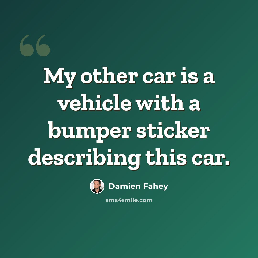 “My other car is a vehicle with a bumper sticker describing this car.” quote by Damien Fahey