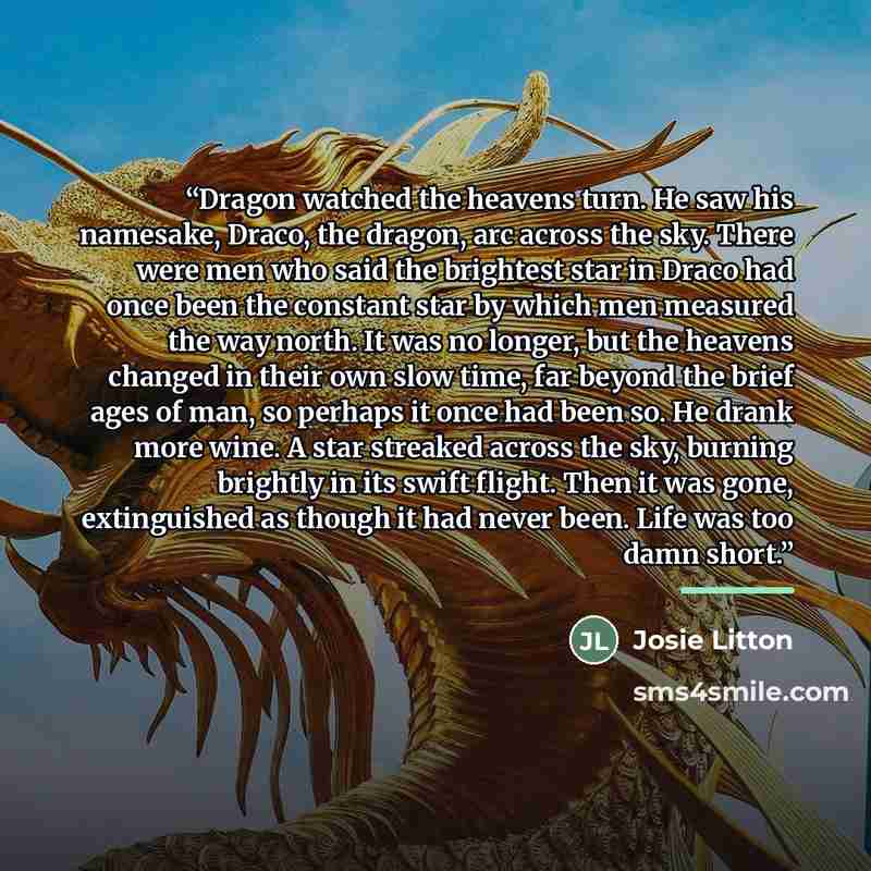 “Dragon watched the heavens turn. He saw his namesake, Draco, the dragon, arc across the sky. There were men who said the brightest star in Draco had once been the constant star by which men measured the way north. It was no longer, but the heavens changed in their own slow time, far beyond the…” quote by Josie Litton